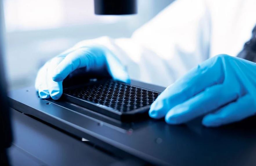 1708850387491912.jpg HTS-2.JPG